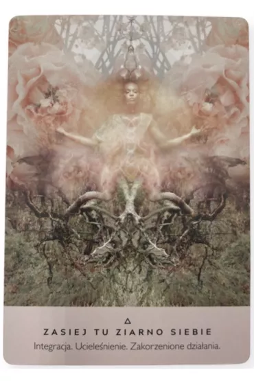 Wyrocznia R�y, karty - Rebecca Campbell