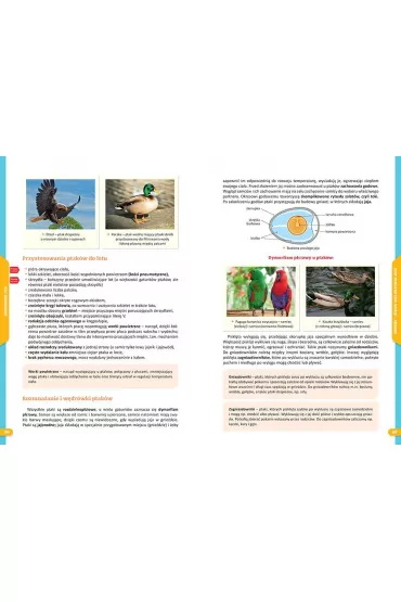 Repetytorium na 100%. Szko�a podstawowa. Biologia - Anna Mucha