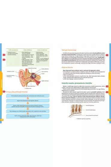 Repetytorium na 100%. Szko�a podstawowa. Biologia - Anna Mucha