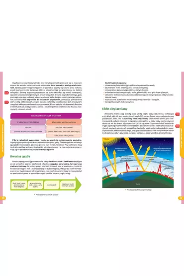 Repetytorium na 100%. Szko�a podstawowa. Biologia - Anna Mucha