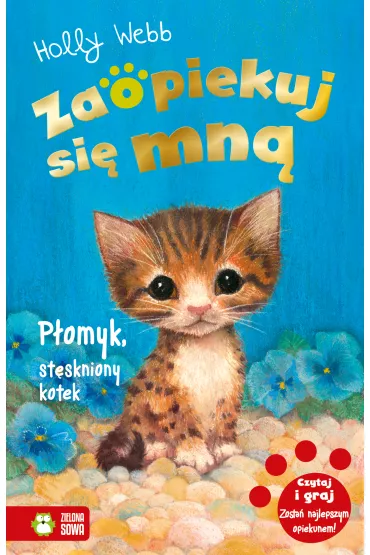 P�omyk, st�skniony kotek. Zaopiekuj si� mn� - Holly Webb
