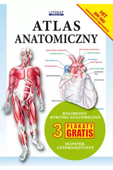 Atlas anatomiczny