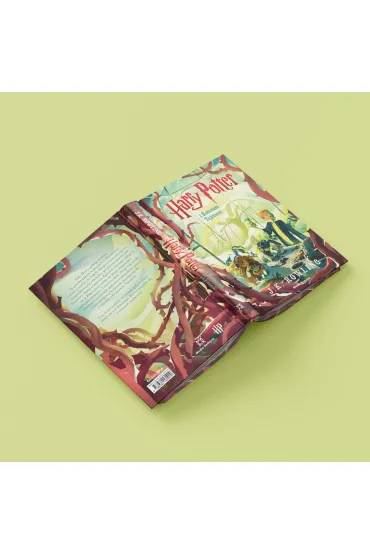 Harry Potter i Komnata Tajemnic. Wersja limitowana (barwione brzegi) - Joanne Kathleen Rowling