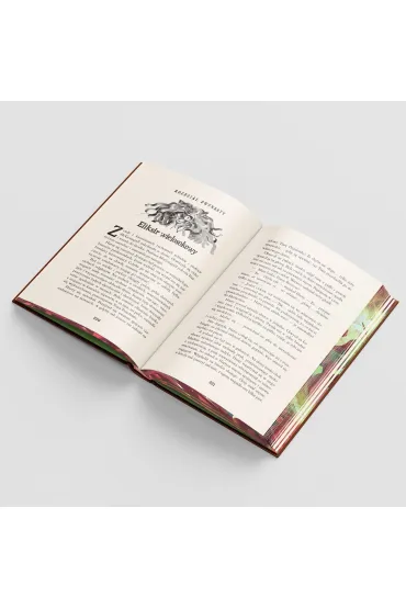 Harry Potter i Komnata Tajemnic. Wersja limitowana (barwione brzegi) - Joanne Kathleen Rowling