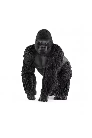 Goryl