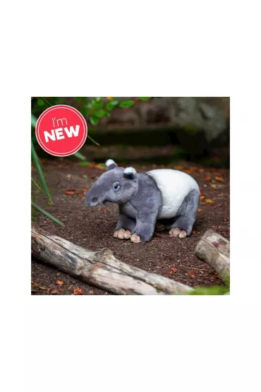 Tapir One for Fun