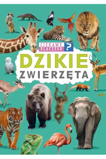 Ciekawe dlaczego? Dzikie zwierz�ta