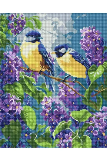 Ideyka Diamentowa mozaika - Wiosenny duet 40x50cm