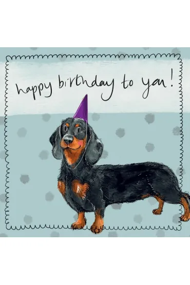 Alex Clark Karnet Urodziny Jamnik z czapeczk�
