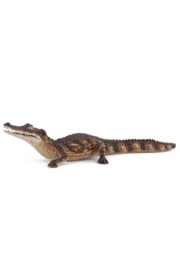 Kajman