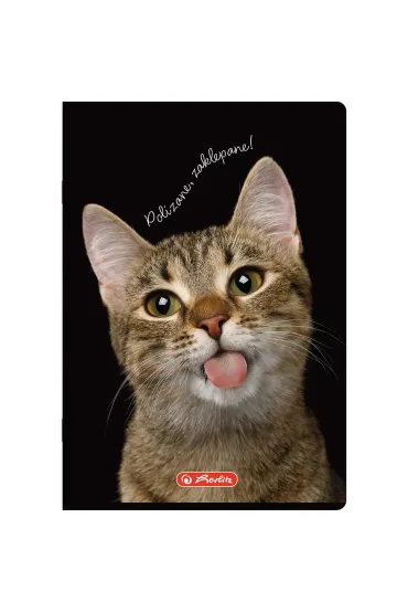 Herlitz Zeszyt A5 Crazy Animal z marginesem kratka 80 kartek