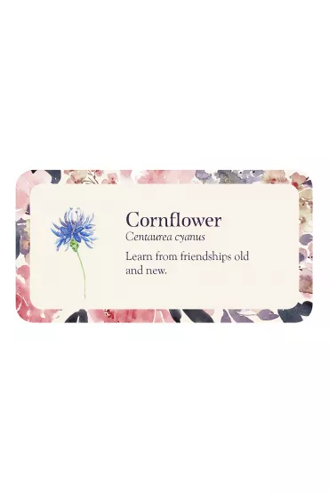 Inspirational Petals, karty do wr�enia