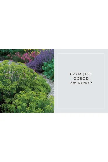 Suchy ogr�d. Lekcje z Ogrodu �wirowego Beth Chatto - Beth  Chatto
