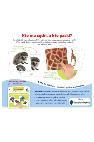 Zwierz�ta. Montessori. Karty sensoryczne. Kapitan Nauka - Katarzyna  Do�hun