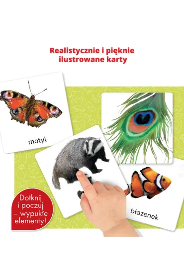 Zwierz�ta. Montessori. Karty sensoryczne. Kapitan Nauka - Katarzyna  Do�hun