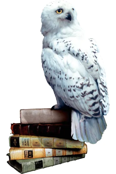 Harry Potter i Czytacz My�li Rebel