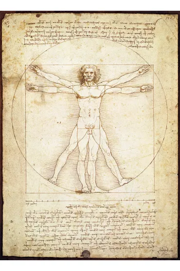 Puzzle 1000 el. The Vitruvian Man Eurographics