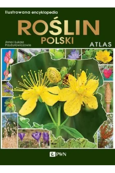 Ilustrowana Encyklopedia Ro�lin Polskich Atlas - Anna Przyby�owicz, �ukasz Przyby�owicz