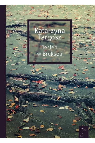 Jesie� w Brukseli. Janeczka. Tom 2 - Katarzyna Targosz
