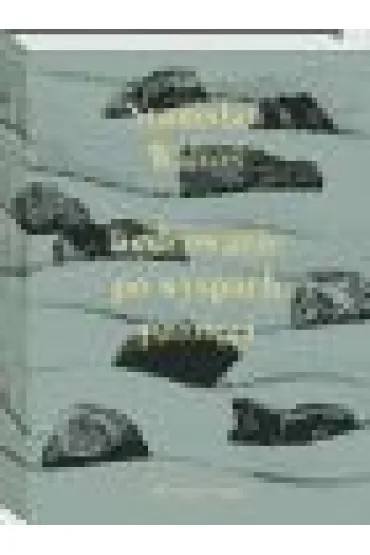 W�drowanie po wyspach pami�ci - Stanis�aw Walto�