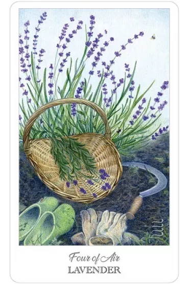 The Herbcrafter’s Tarot, Tarot Zielarza - Joanna Colbert  Powell, Latisha  Guthrie