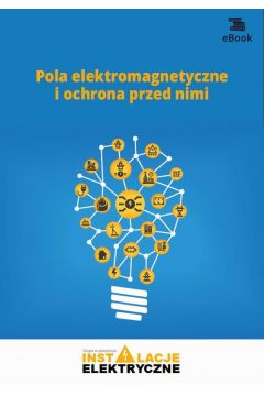 eBook Pola elektromagnetyczne i ochrona przed nimi pdf