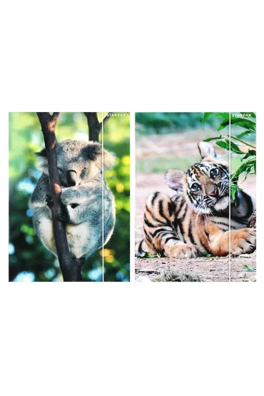 Teczka z gumk� A4 Wild Animal2 STARPAK 559730