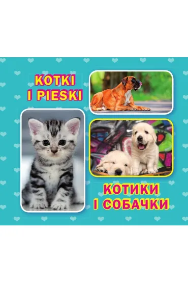 Kotki i pieski. Kotiki i sobachki