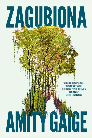 eBook Zagubiona mobi epub - Amity Gaige