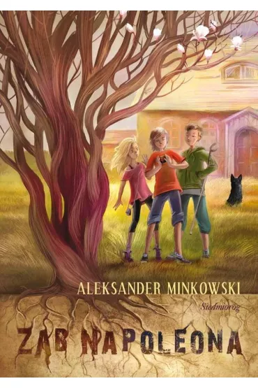 Z�b Napoleona - Aleksander Minkowski