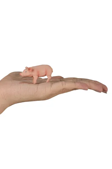 Figurka �winia  prosi�