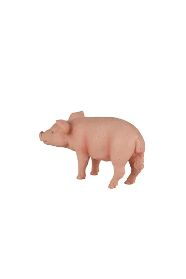 Figurka �winia  prosi�