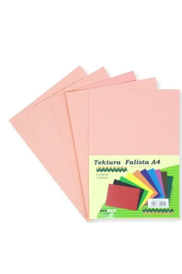 Penword Tektura A4 falista brzoskwiniowa 5 szt.