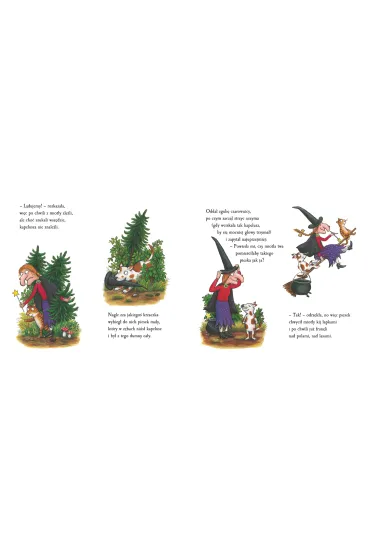 Miejsce na miotle - Julia Donaldson