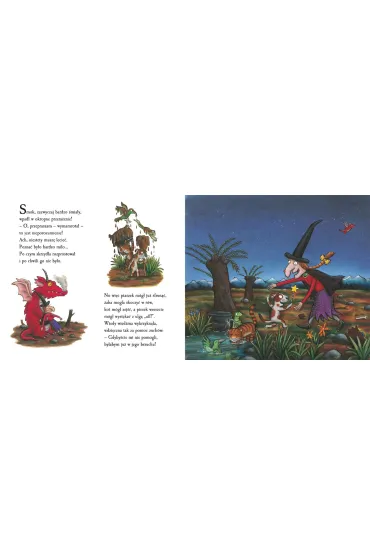 Miejsce na miotle - Julia Donaldson
