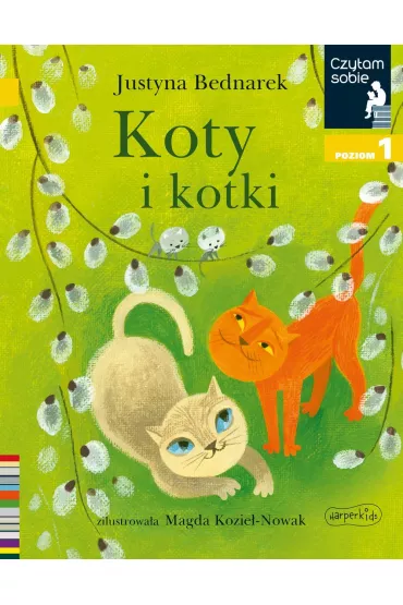 Koty i kotki. Czytam sobie. Poziom 1 - Justyna Bednarek