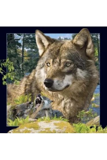 Worth Keeping Magnes 3D Wilk