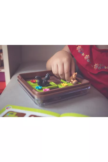 Smart Games Squirrels Go Nuts! (ENG) IUVI Games