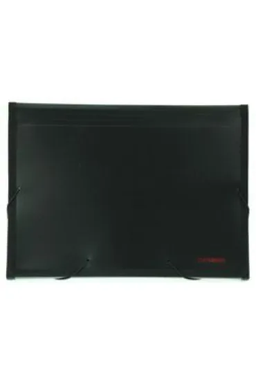 Penmate Akt�wka 12 przegr�dek PP-4302