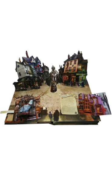 Harry Potter: Ksi��ka pop-up, oparta na filmie - Andrew Williamson
