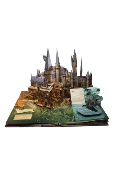 Harry Potter: Ksi��ka pop-up, oparta na filmie - Andrew Williamson