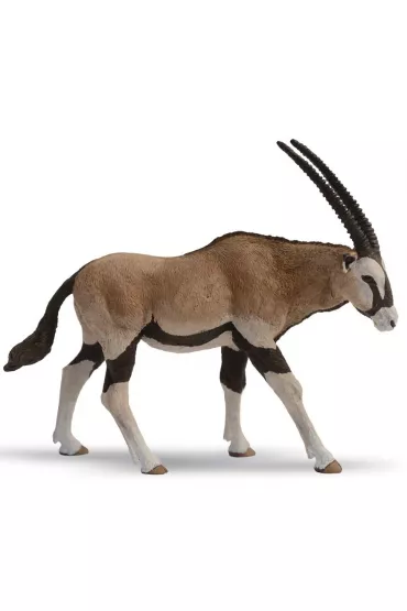 Antylopa Oryx