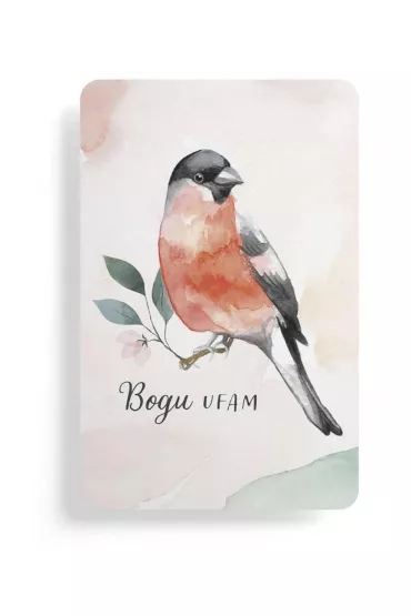 Szaron Magnes na lod�wk� - Bogu ufam.