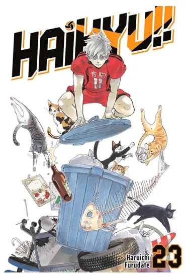 Haikyu!! #23 - Haruichi Furudate