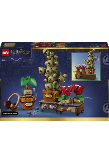 LEGO Harry Potter TM Ro�liny z lekcji zielarstwa w Hogwarcie 76474