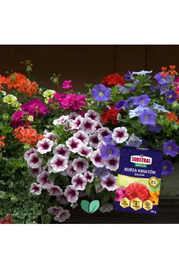 Substral Naw�z Burza Kwiat�w - balkon 300 g