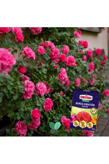Substral Naw�z Burza Kwiat�w - balkon 300 g