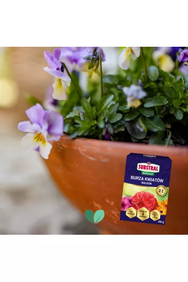 Substral Naw�z Burza Kwiat�w - balkon 300 g