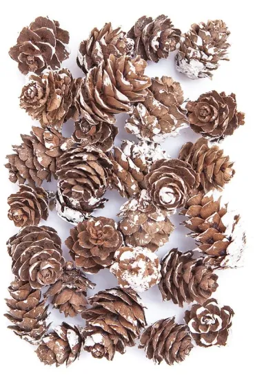 Dalprint Mini szyszki bielone 25g