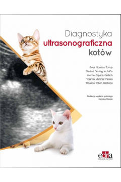 Diagnostyka ultrasonograficzna kotw